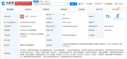 科大讯飞云南子公司成立，千万元资本注入加速西南市场布局